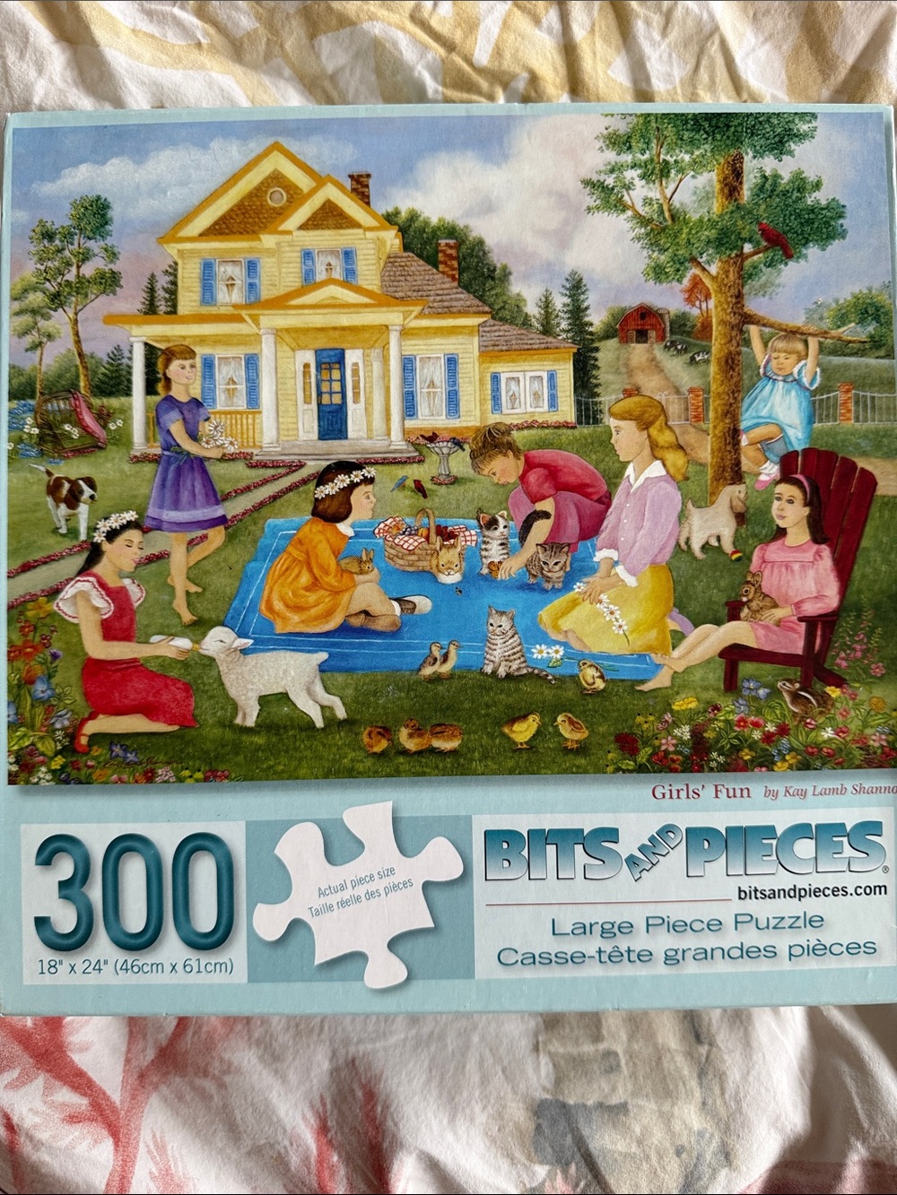 Bits and Pieces Girls' Fun by Kay Lamb Shannon 300-Piece Large Piece Puzzle